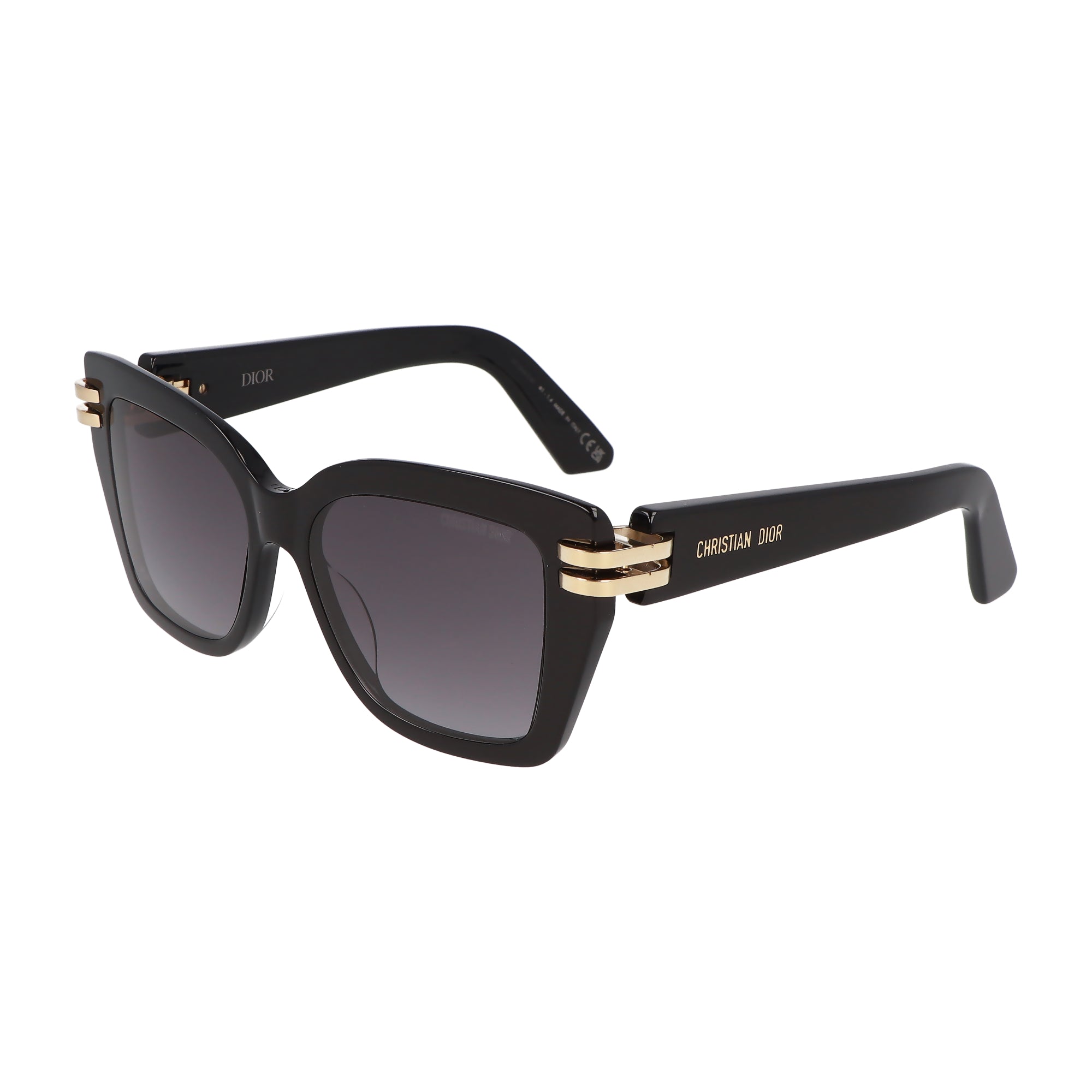 CDIOR S1I